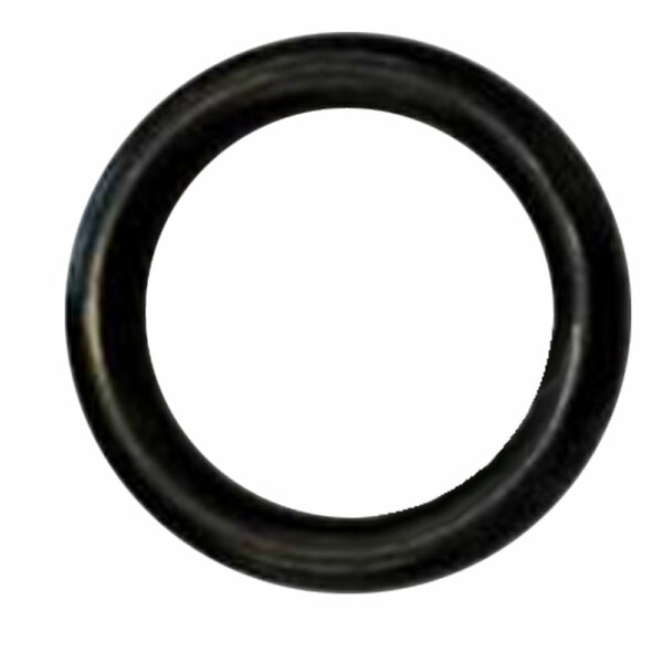 O-Ring für Düse